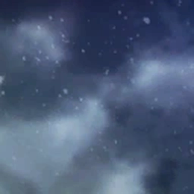 Jacket snippet